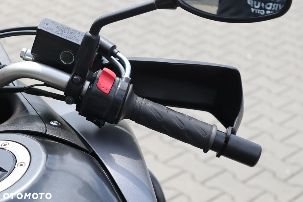 Suzuki V-STROM - 20
