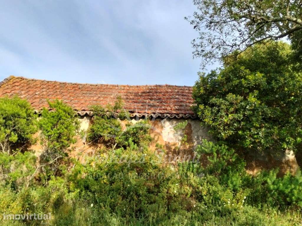 Terreno Misto São Francisco da Serra - Grande imagem: 3/25