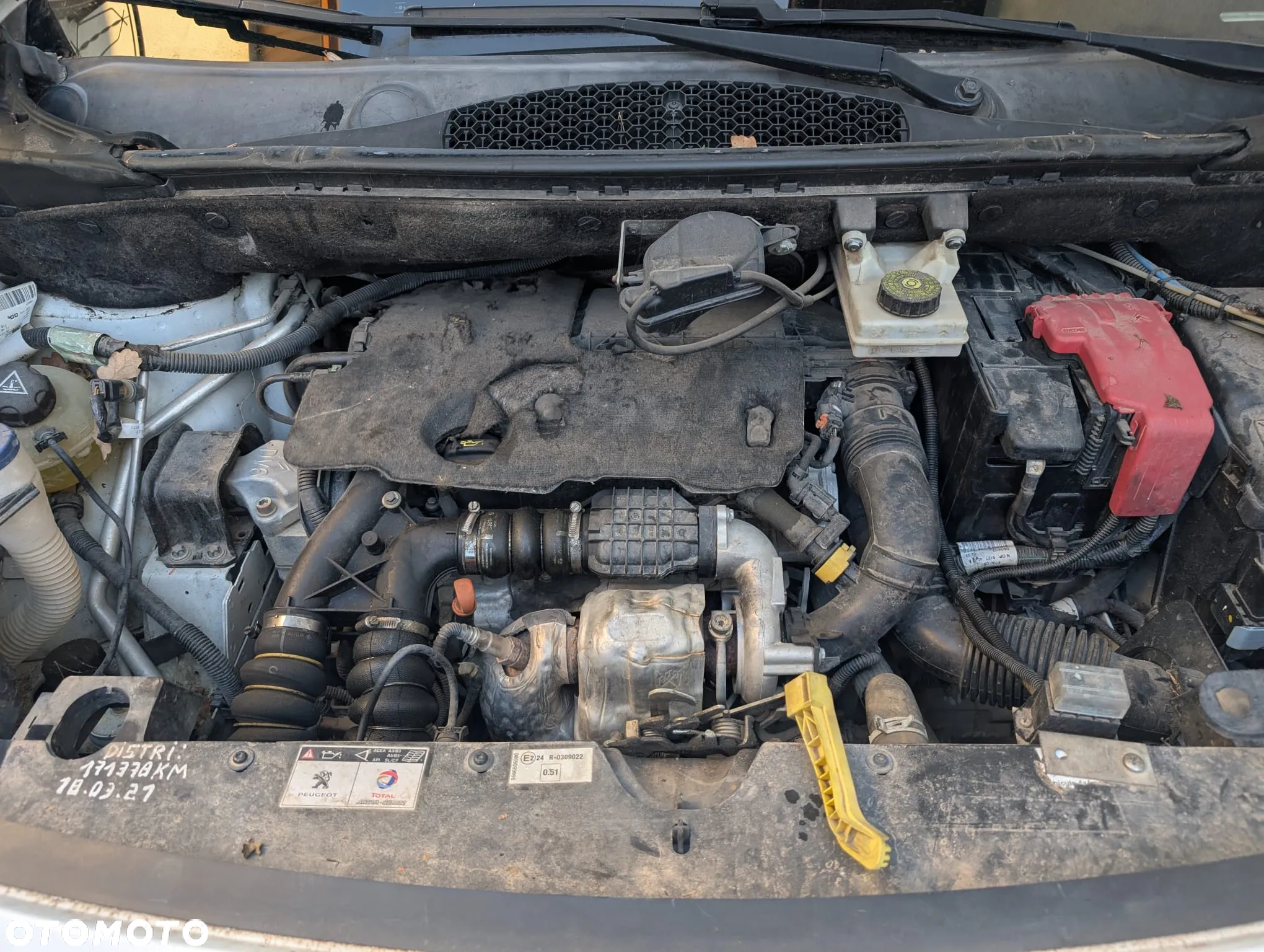 Peugeot PARTNER III Dangel 4x4 - 23