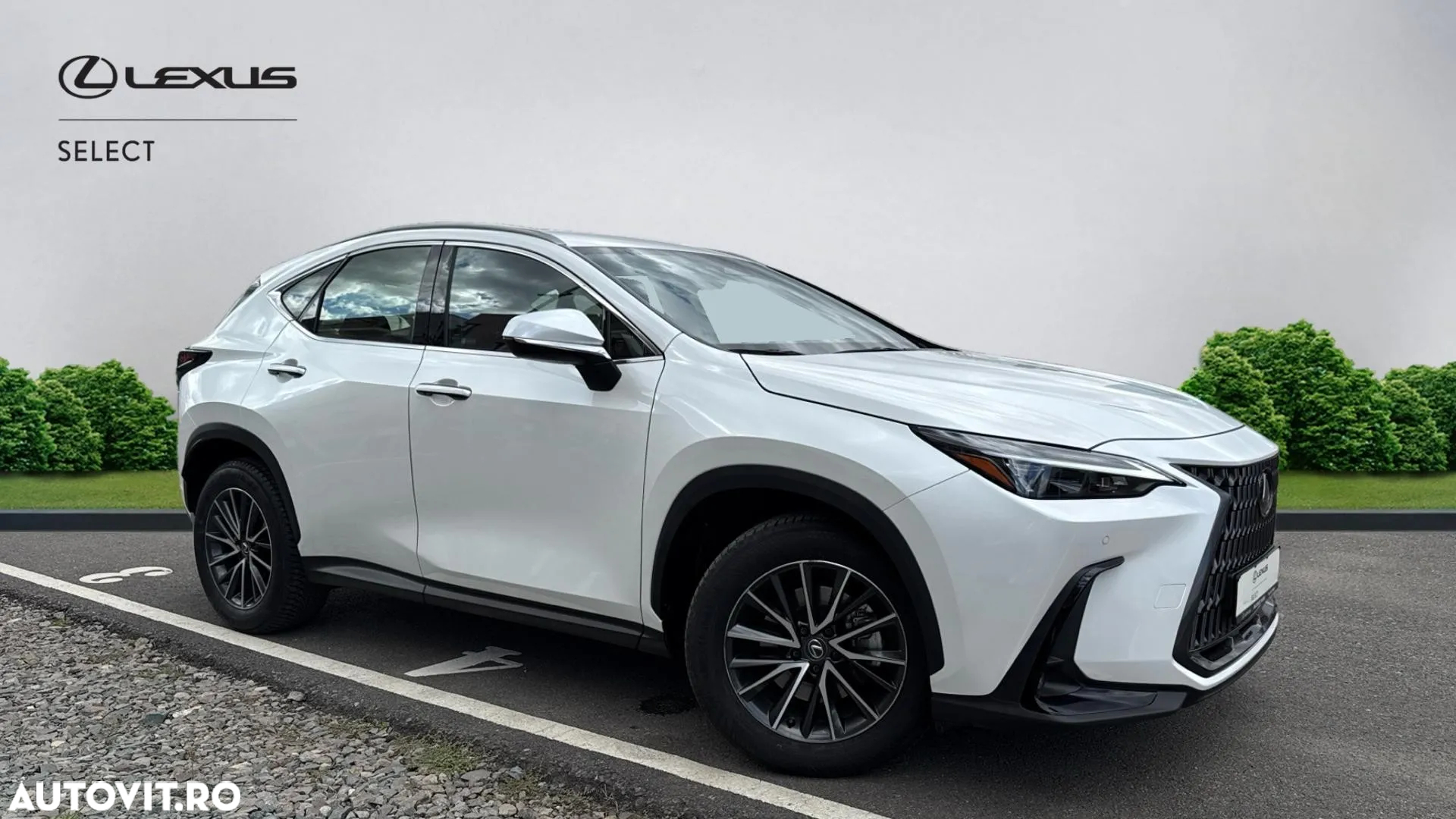 Lexus Seria NX 350h AWD CVT HEV Business - 22