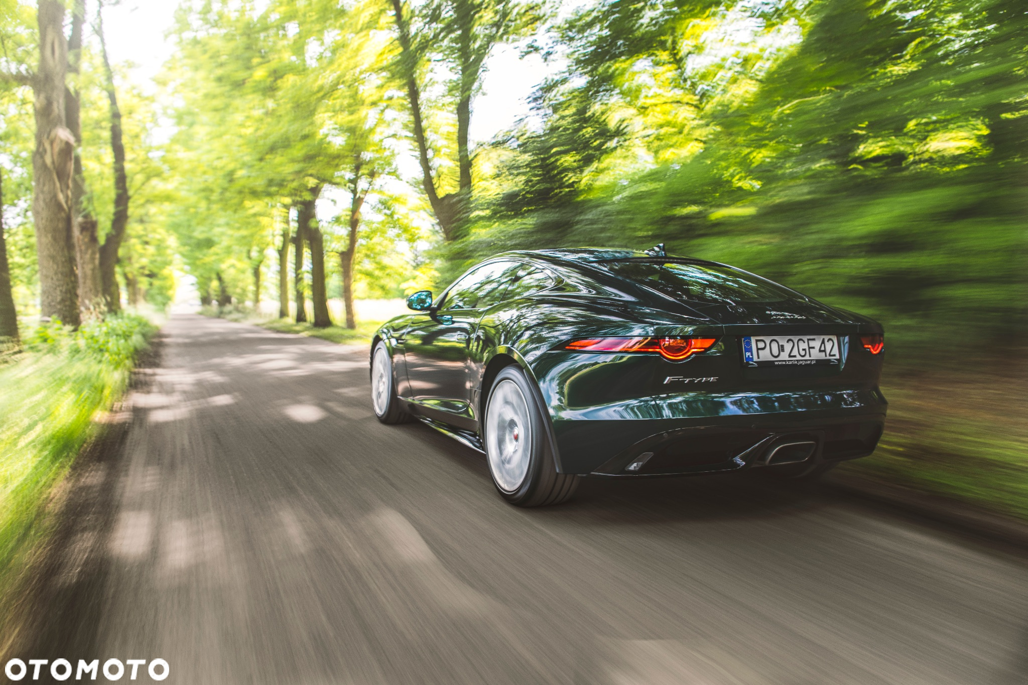 Jaguar F-Type 2.0 Turbo R-Dynamic - 7