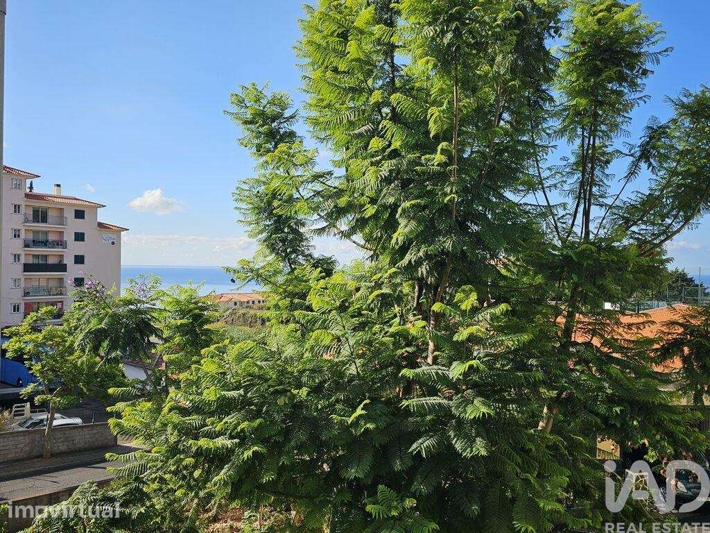 Apartamento T2 em Caniço de 83,00 m2 - Grande imagem: 2/10