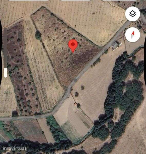 Terreno rustico entre Falachos e vale seixo, perto da estrada. - Grande imagem: 2/4