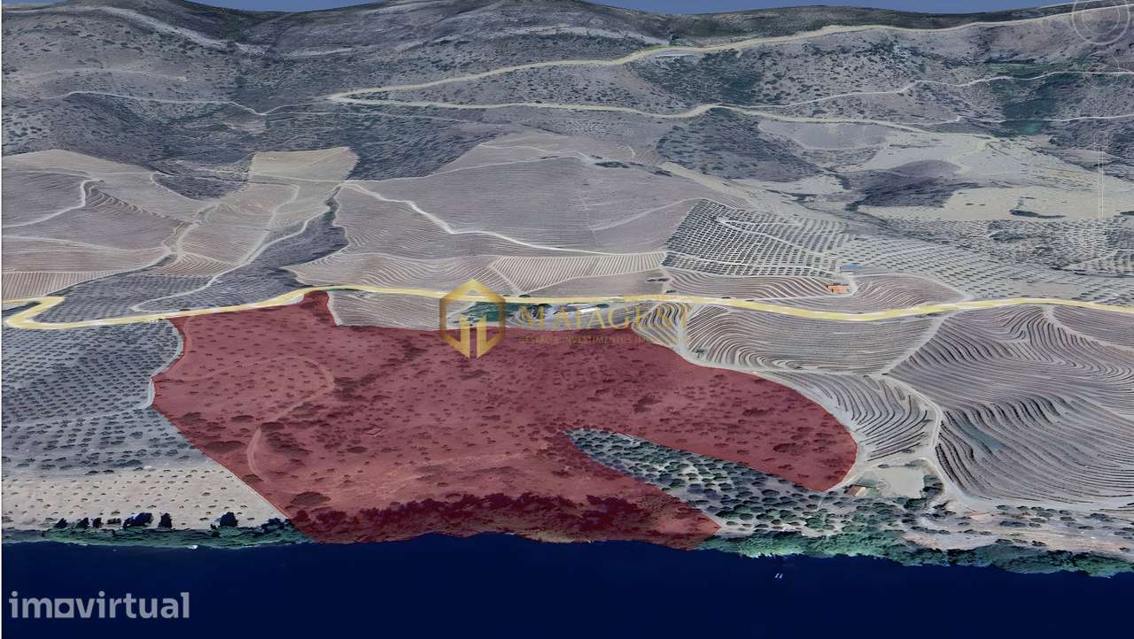 Quinta Veiga Redonda com 160 m de Frente ao Rio Douro - Grande imagem: 4/8