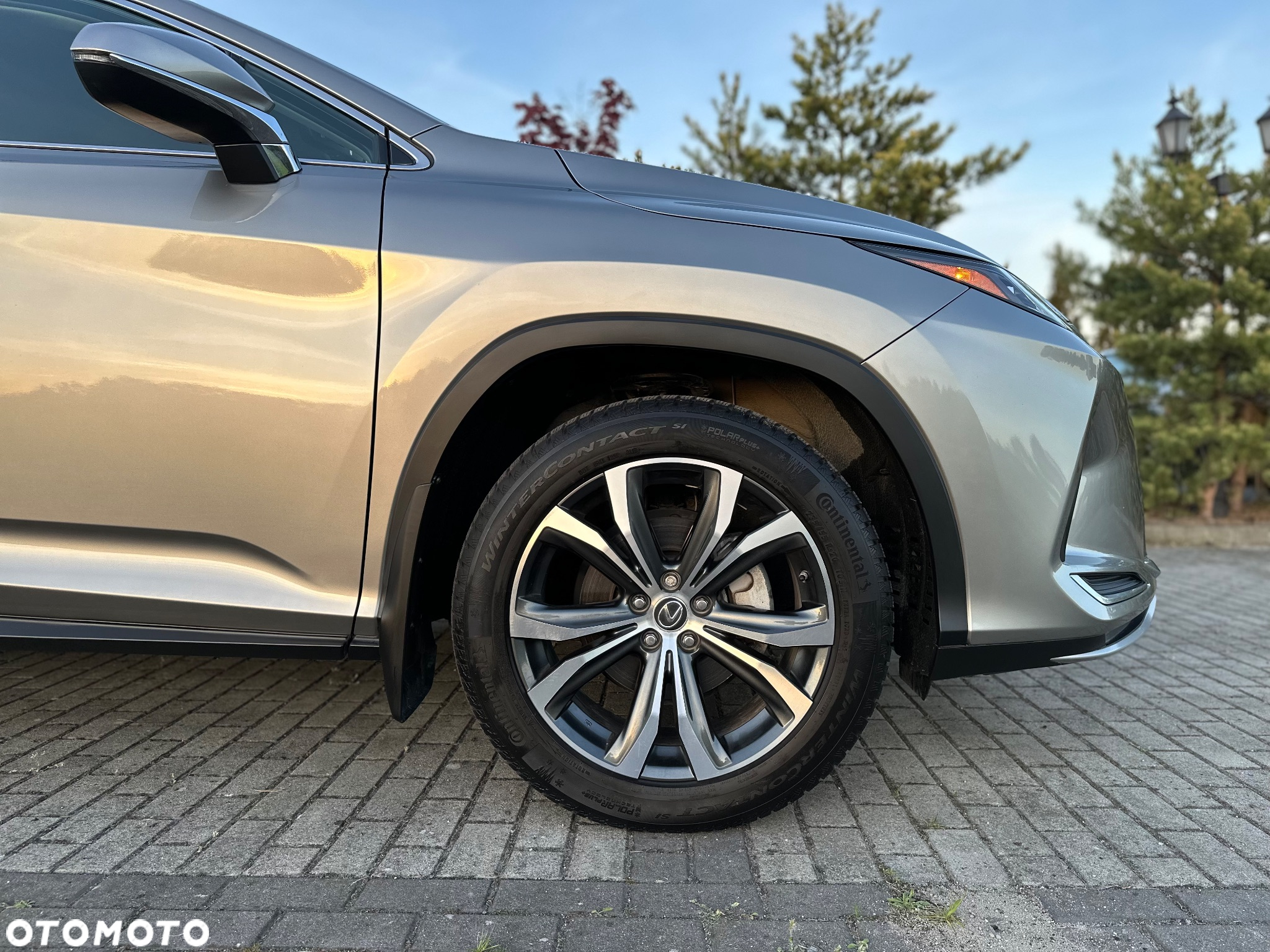 Lexus RX - 10