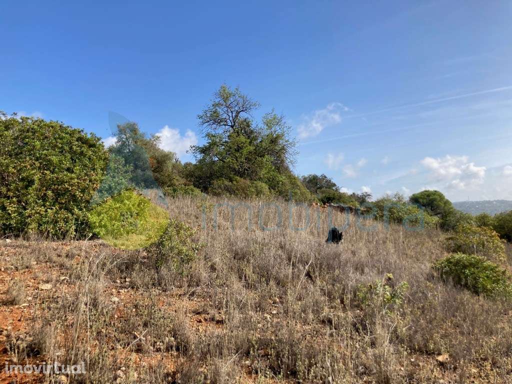 TERRENO RÚSTICO COM POÇO E ÁRVORES DE SEQUEIRO EM PADERNE - Grande imagem: 5/14