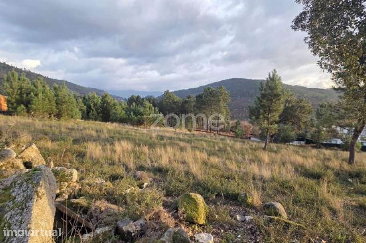 Dois Terrenos Rústicos com 2,6 Ha