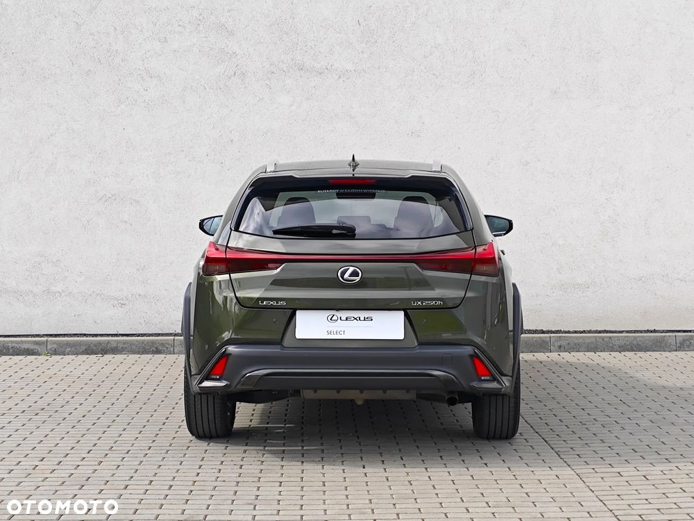 Lexus UX 250h GPF F Sport Design+ 2WD - 9
