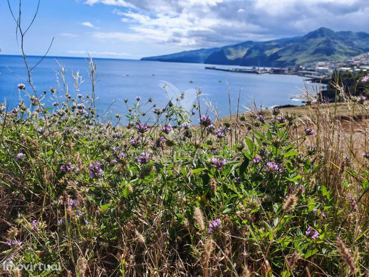 Terreno Premium com Vista Mar no Caniçal-Ideal para Projeto Turìstico - Grande imagem: 3/33