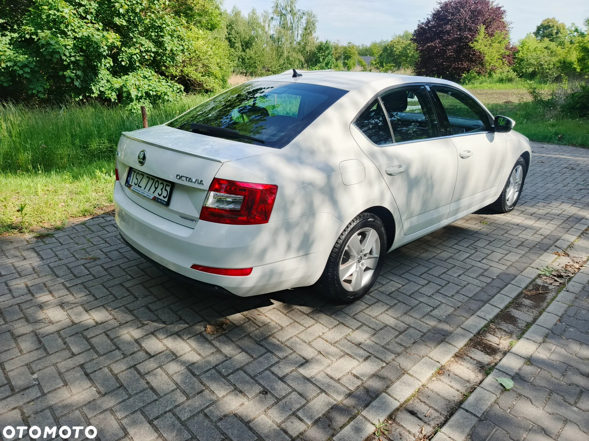 Skoda Octavia 1.6 TDI Greenline - 5