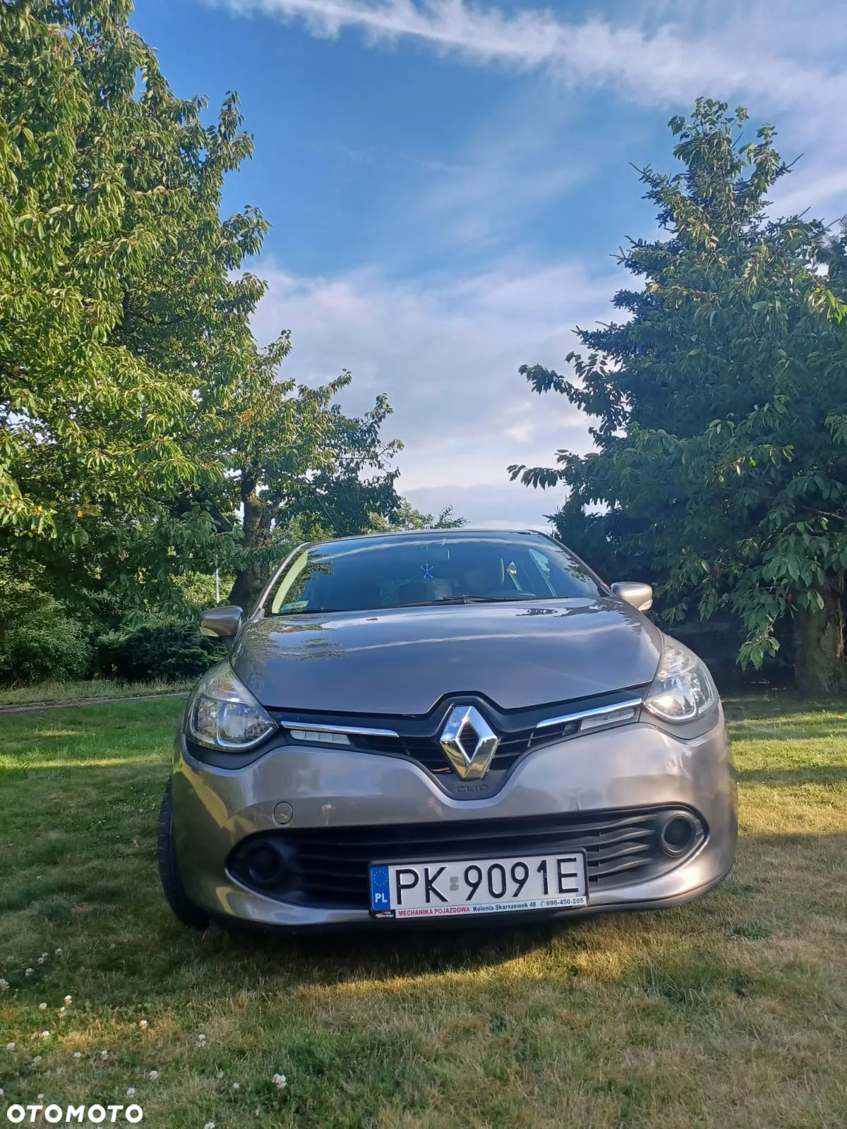 Renault Clio - 6
