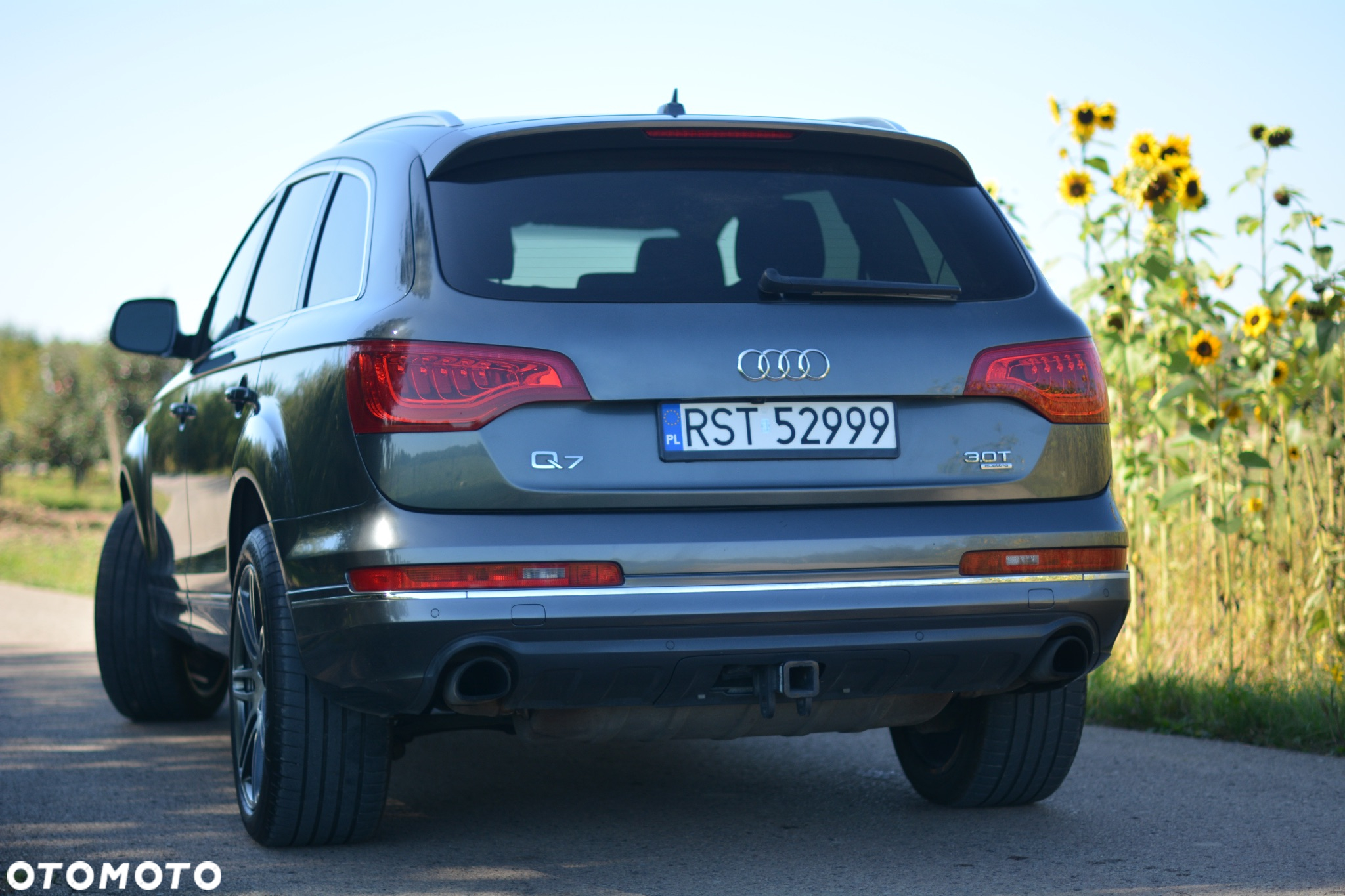 Audi Q7 - 7