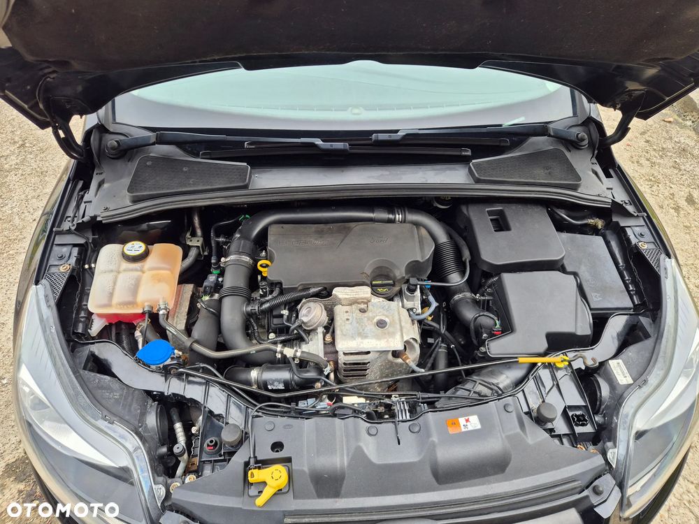 Ford Focus 1.0 EcoBoost Start-Stopp-System Champions Edition - 29