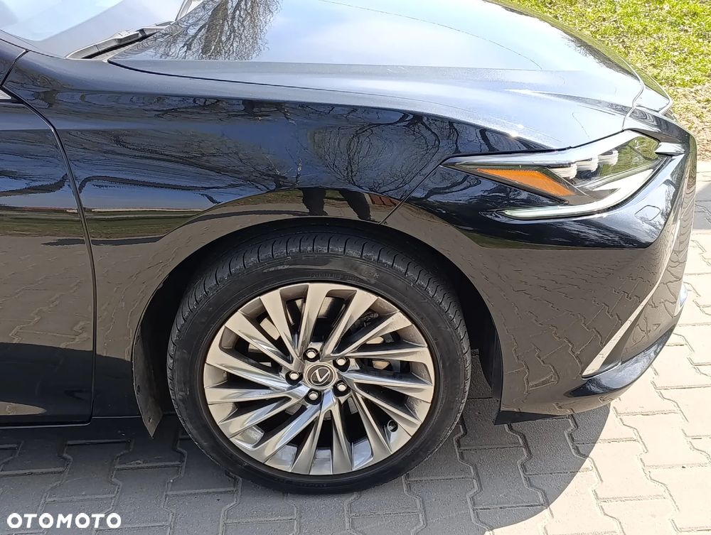 Lexus ES 300h Omotenashi - 10