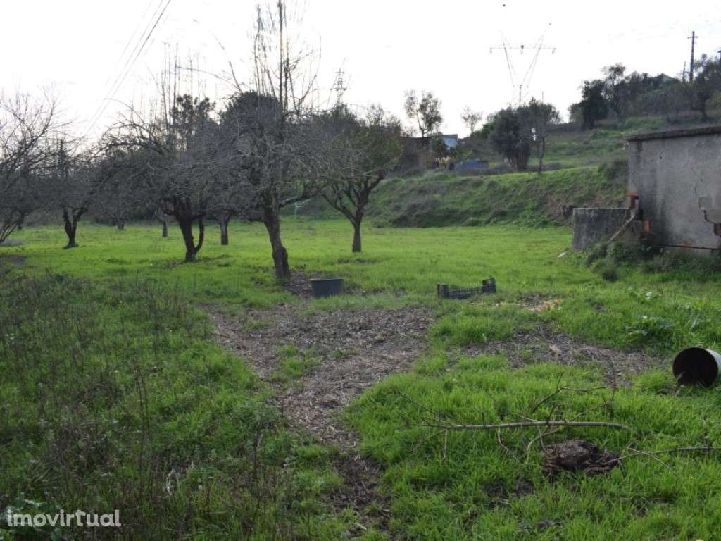 Quinta entre Antanhol e Cernache - Grande imagem: 3/18