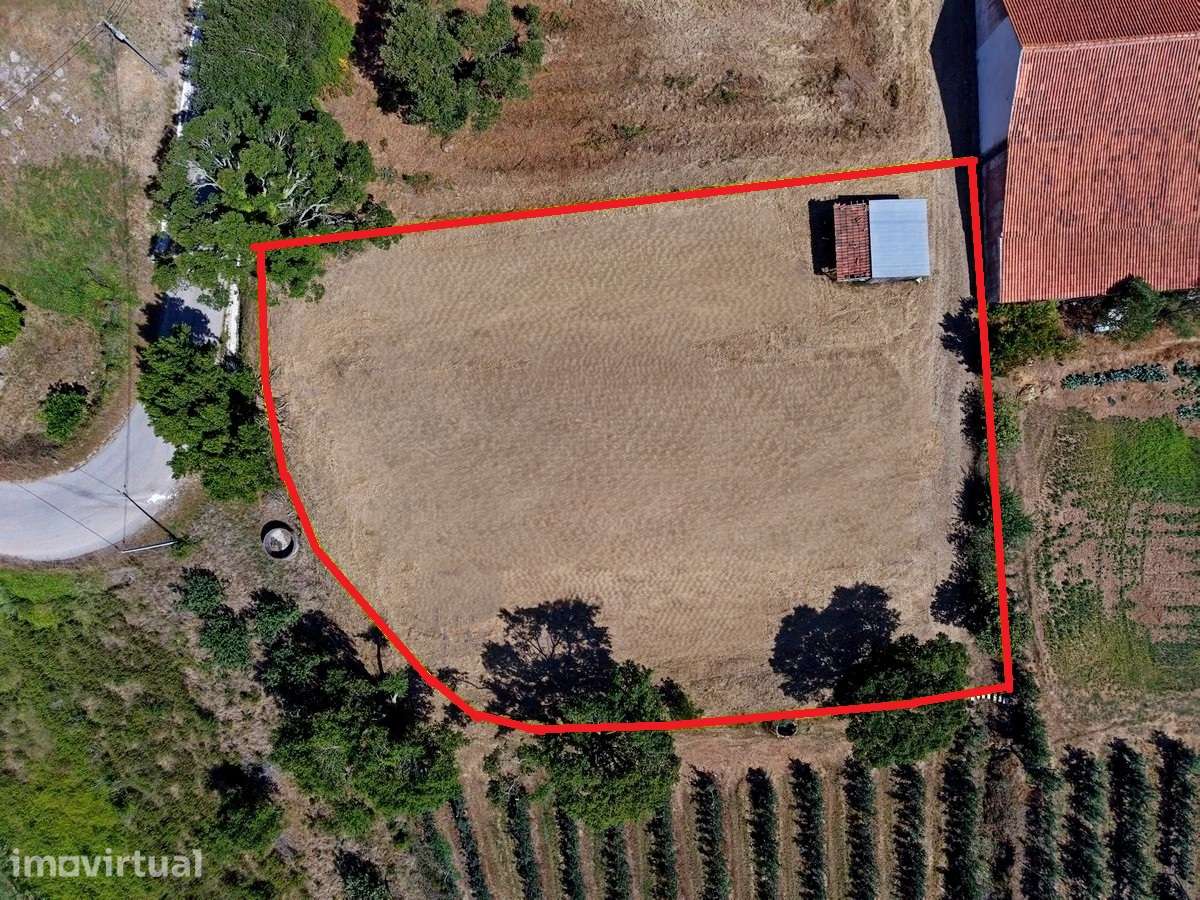 Terreno com vista panorâmica de campo - a 15 min São Martinho do Porto - Grande imagem: 2/9