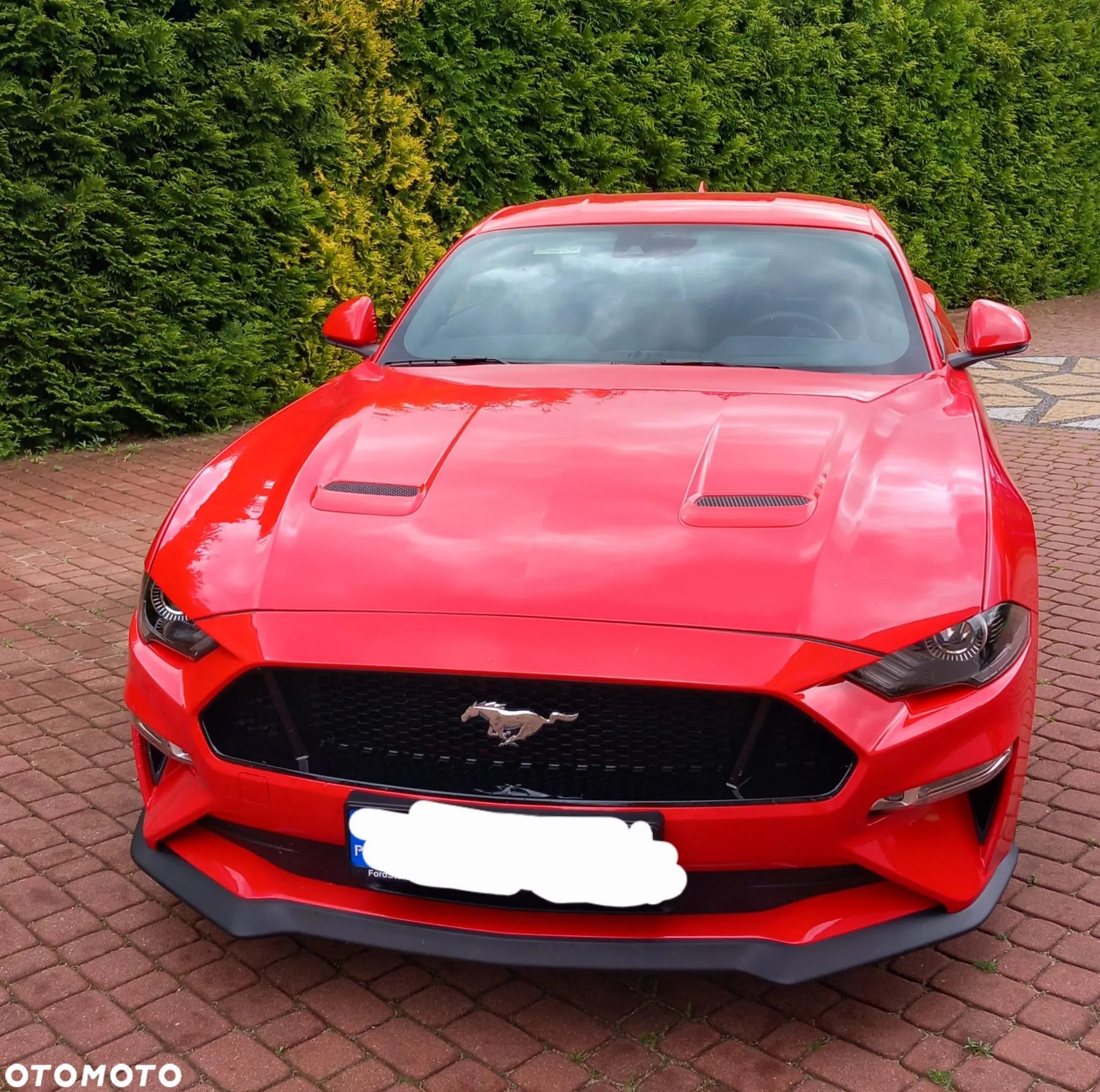 Ford Mustang 5.0 V8 GT - 1