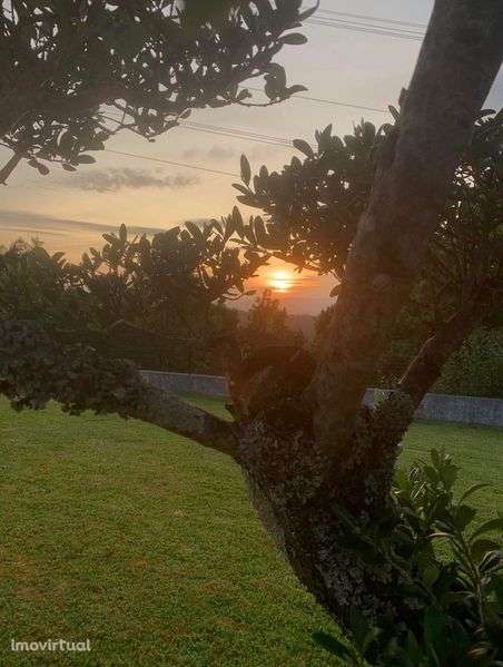 Moradia Terrea T3 para venda - Grande imagem: 2/12