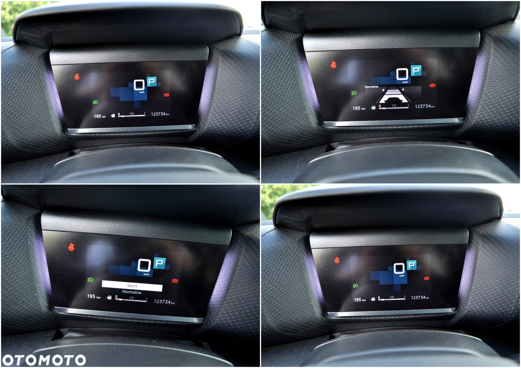 Citroën C4 1.5 BlueHDi Business Edition S&S EAT8 - 37