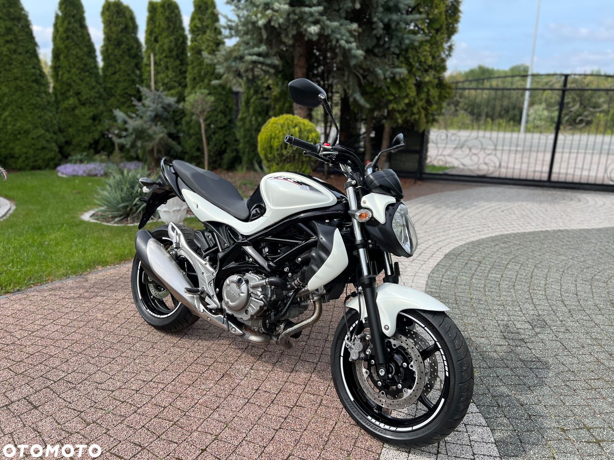 Suzuki Gladius - 1