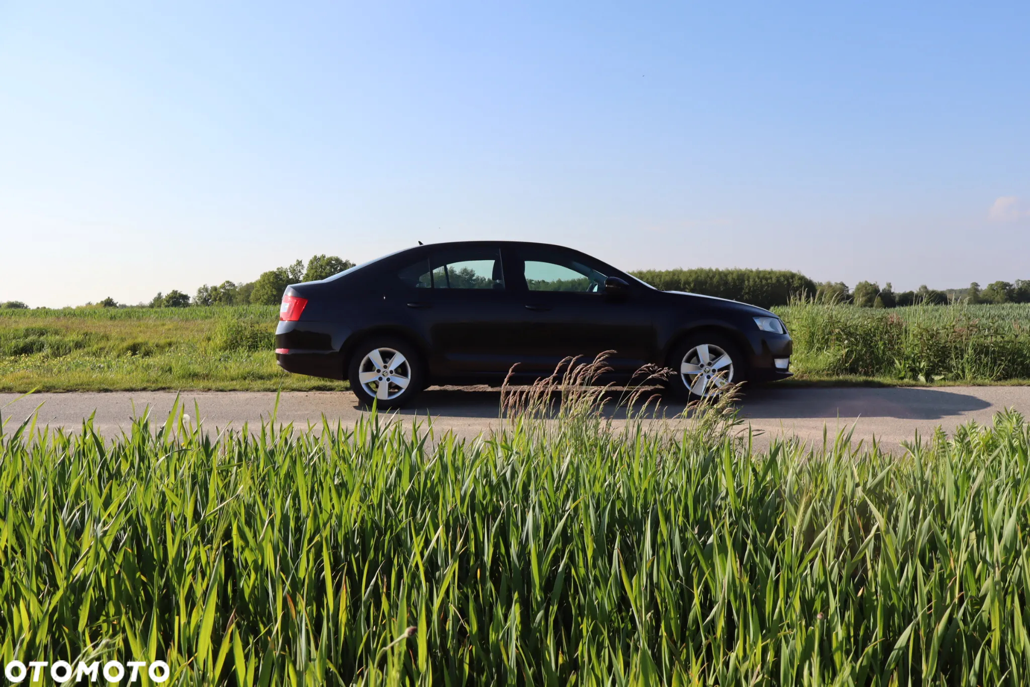 Skoda Octavia 2.0 TDI Ambition DSG - 12