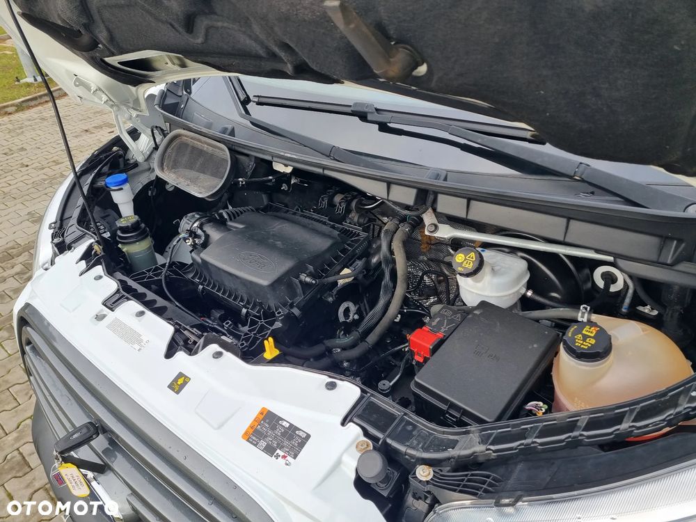 Ford Transit - 22