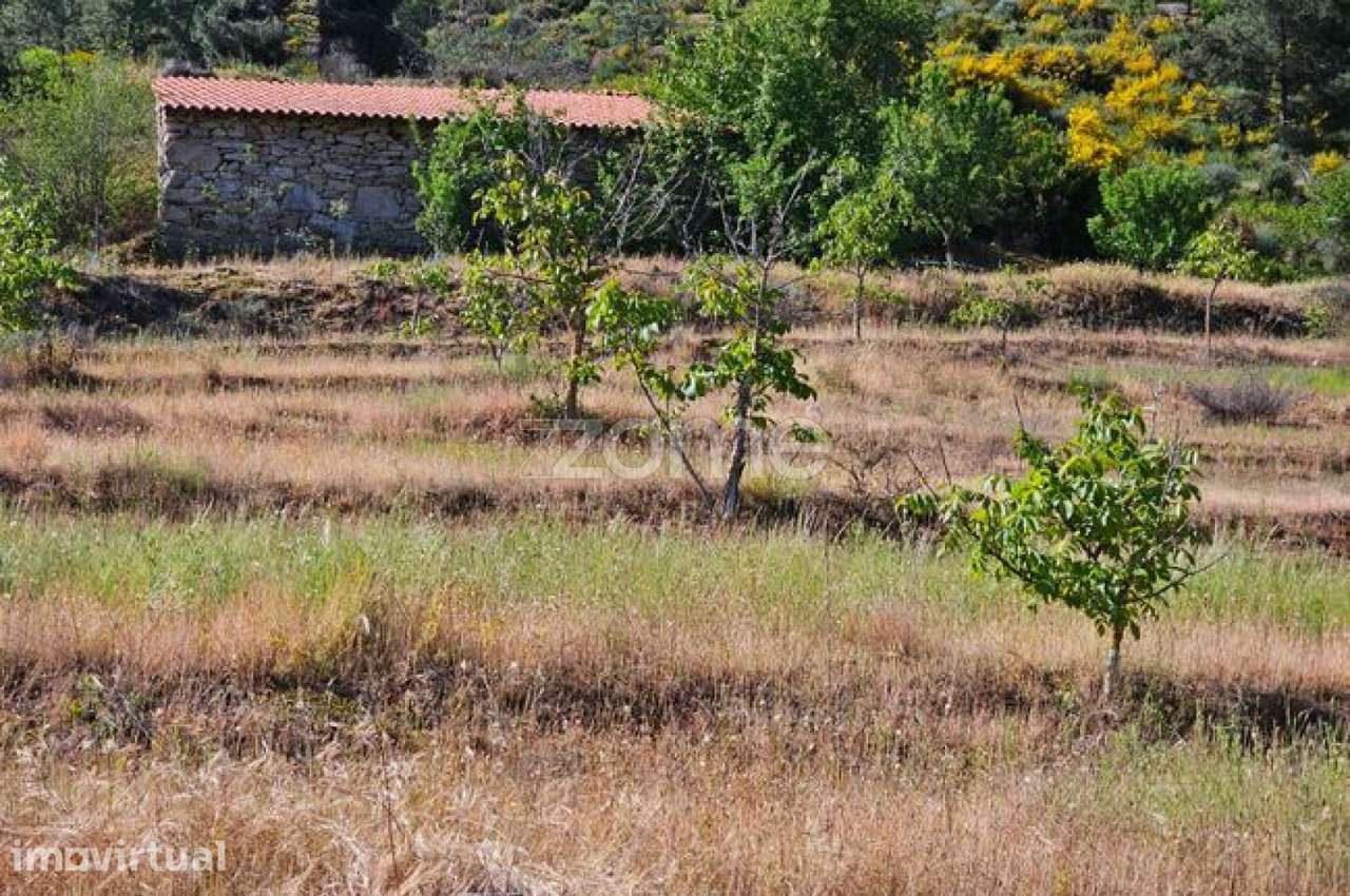 Terreno com 6 hectares - Grande imagem: 2/22