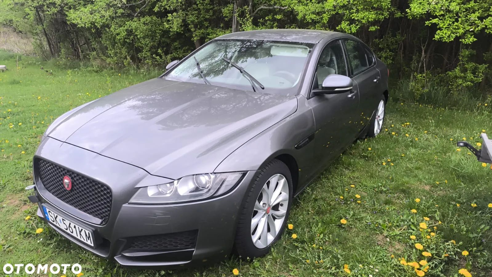 Jaguar XF 2.0 i4D Prestige - 1
