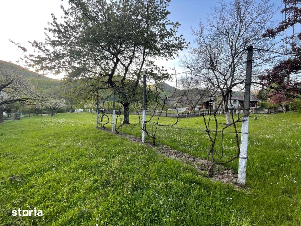 Teren constructie, 1590 mp, zona Firiza - Imagine principală: 3/5