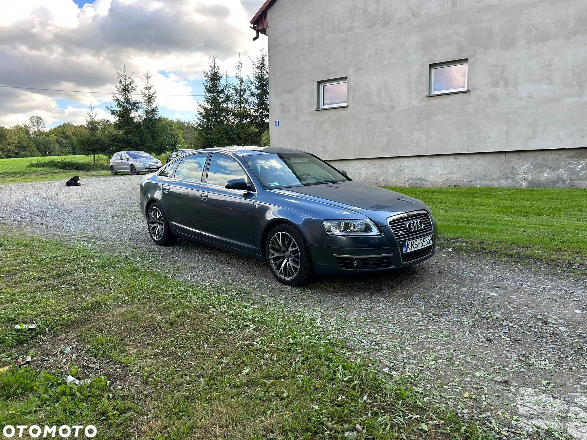 Audi A6 - 1