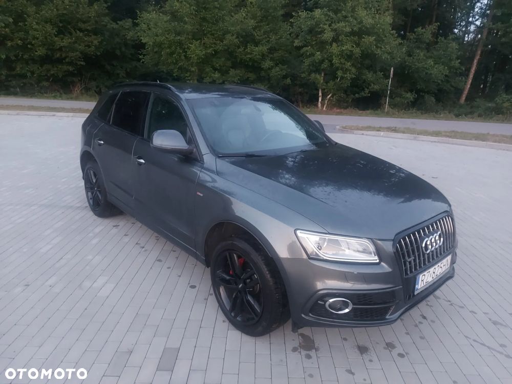 Audi Q5 2.0 TDI Quattro (clean diesel) - 29