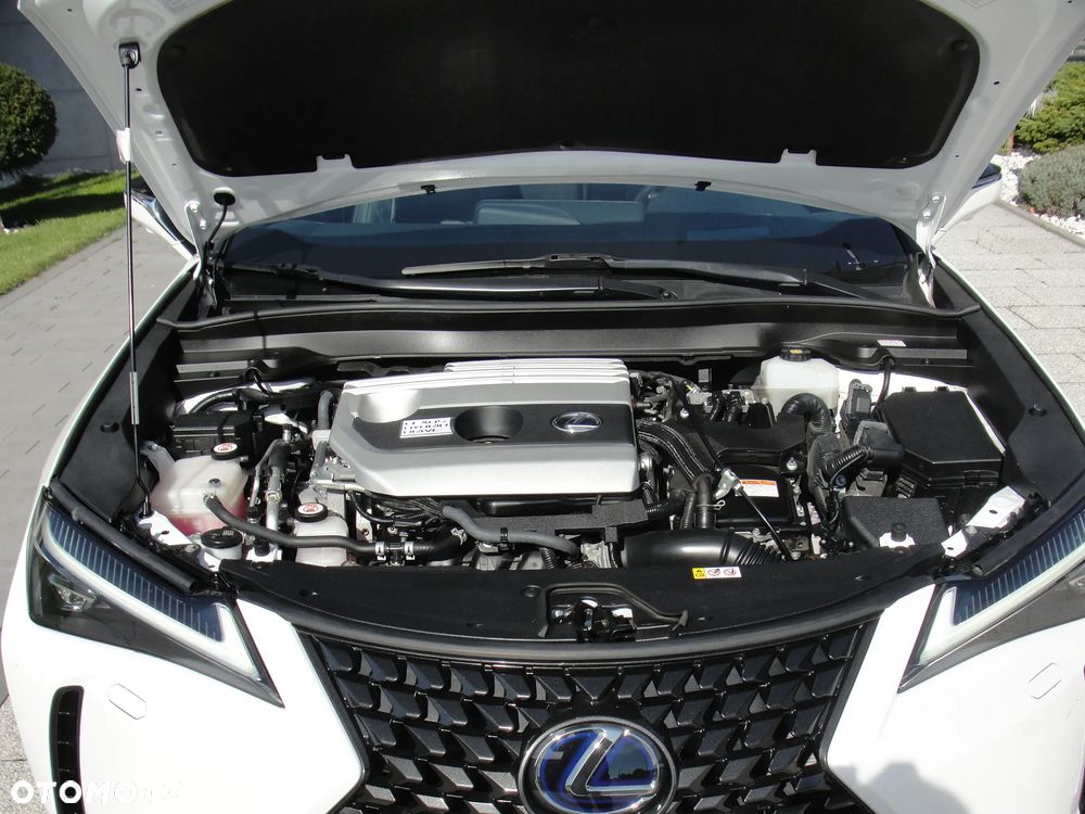 Lexus UX - 22