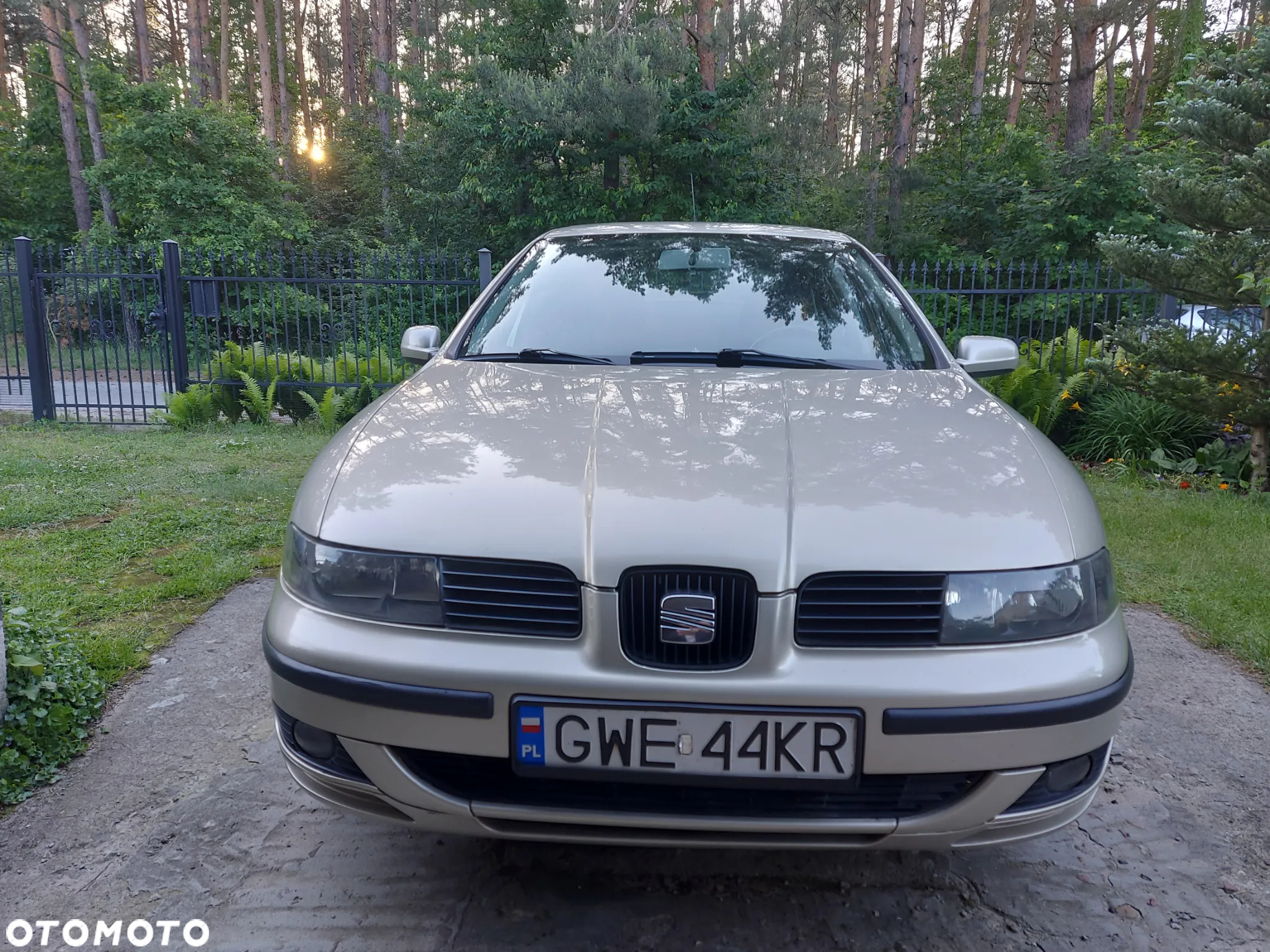 Seat Leon 1.6 Signo - 3