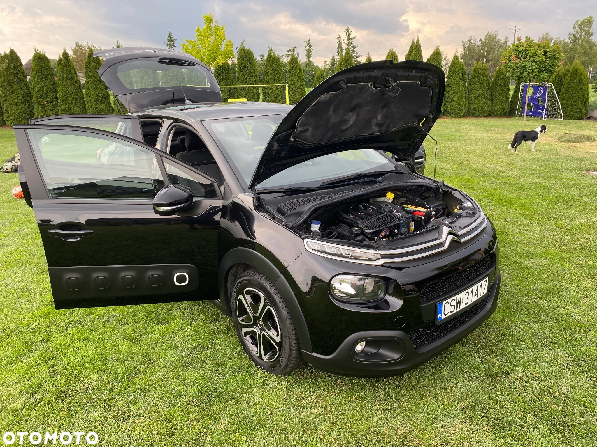 Citroën C3 1.2 PureTech GPF Shine - 38