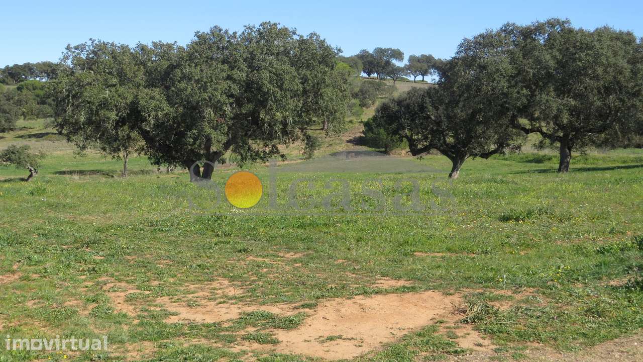 Terreno rústico de 13620 m² em Alcácer do Sal - Grande imagem: 3/7