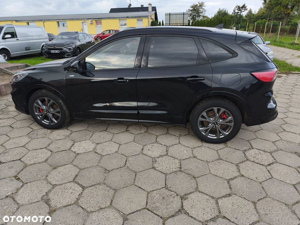 Ford Kuga 2.0 EcoBlue 4x4 ST-LINE X - 8