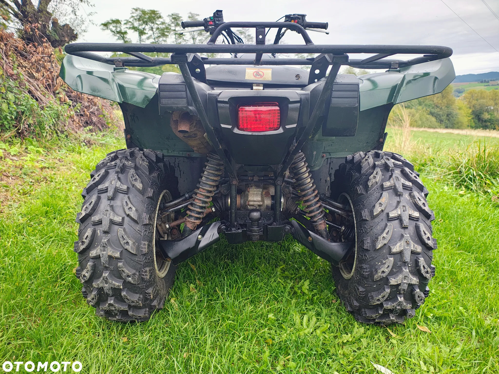 Yamaha Grizzly - 9