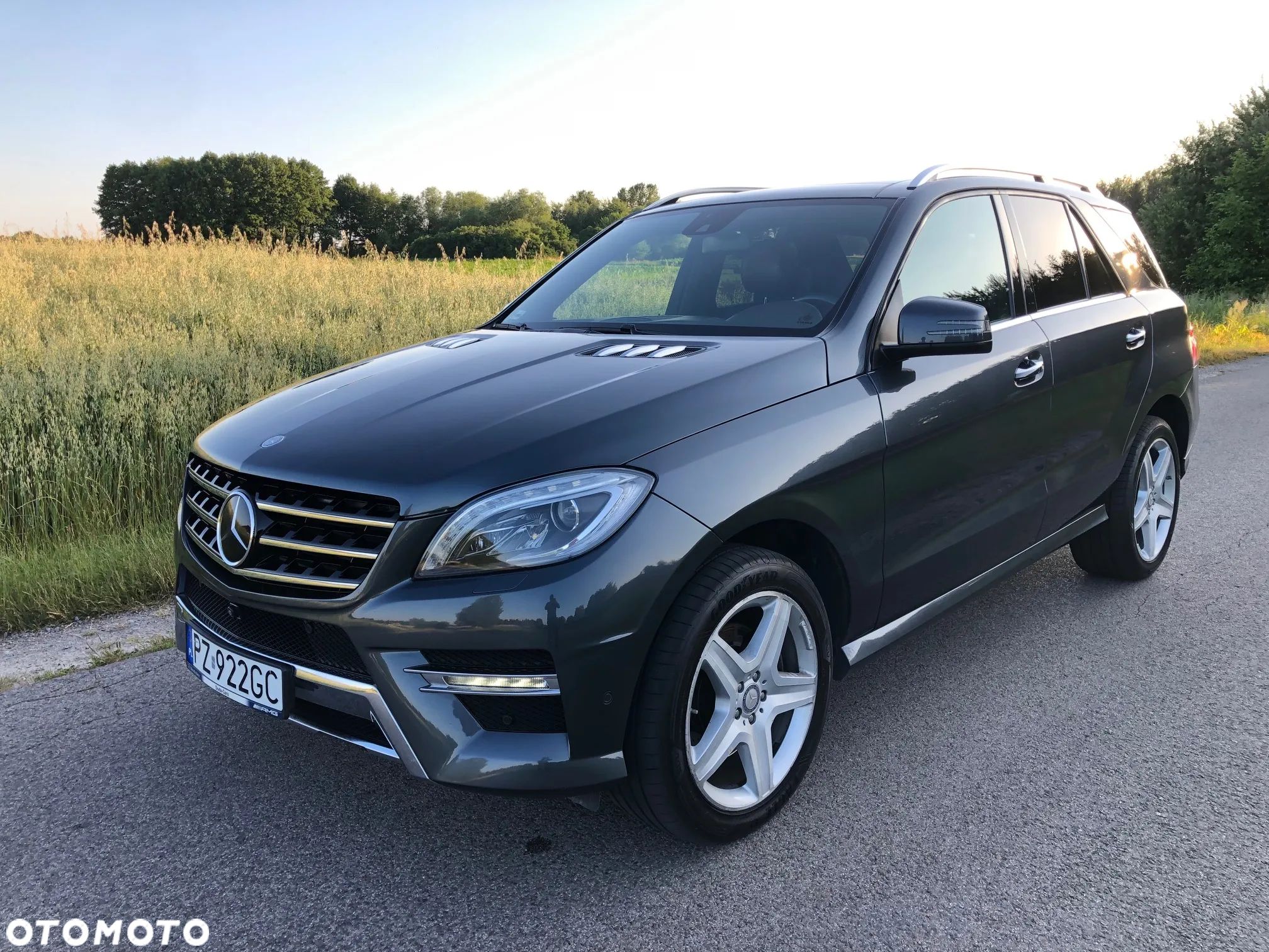 Mercedes-Benz ML 350 BlueTec 4-Matic - 1