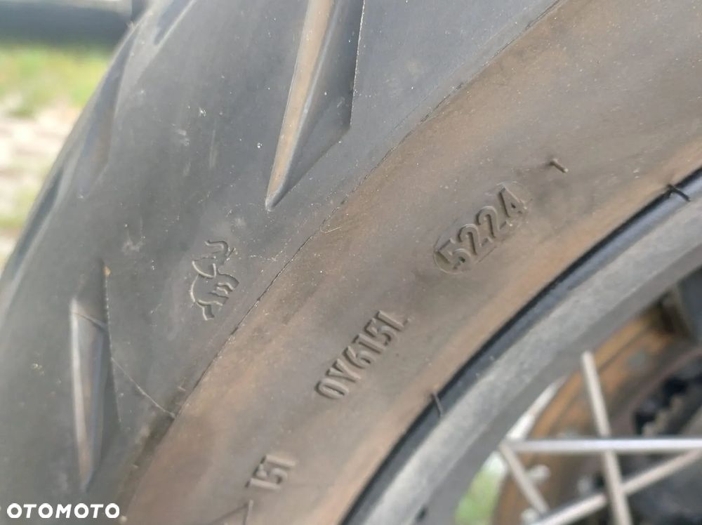 Triumph Tiger - 11
