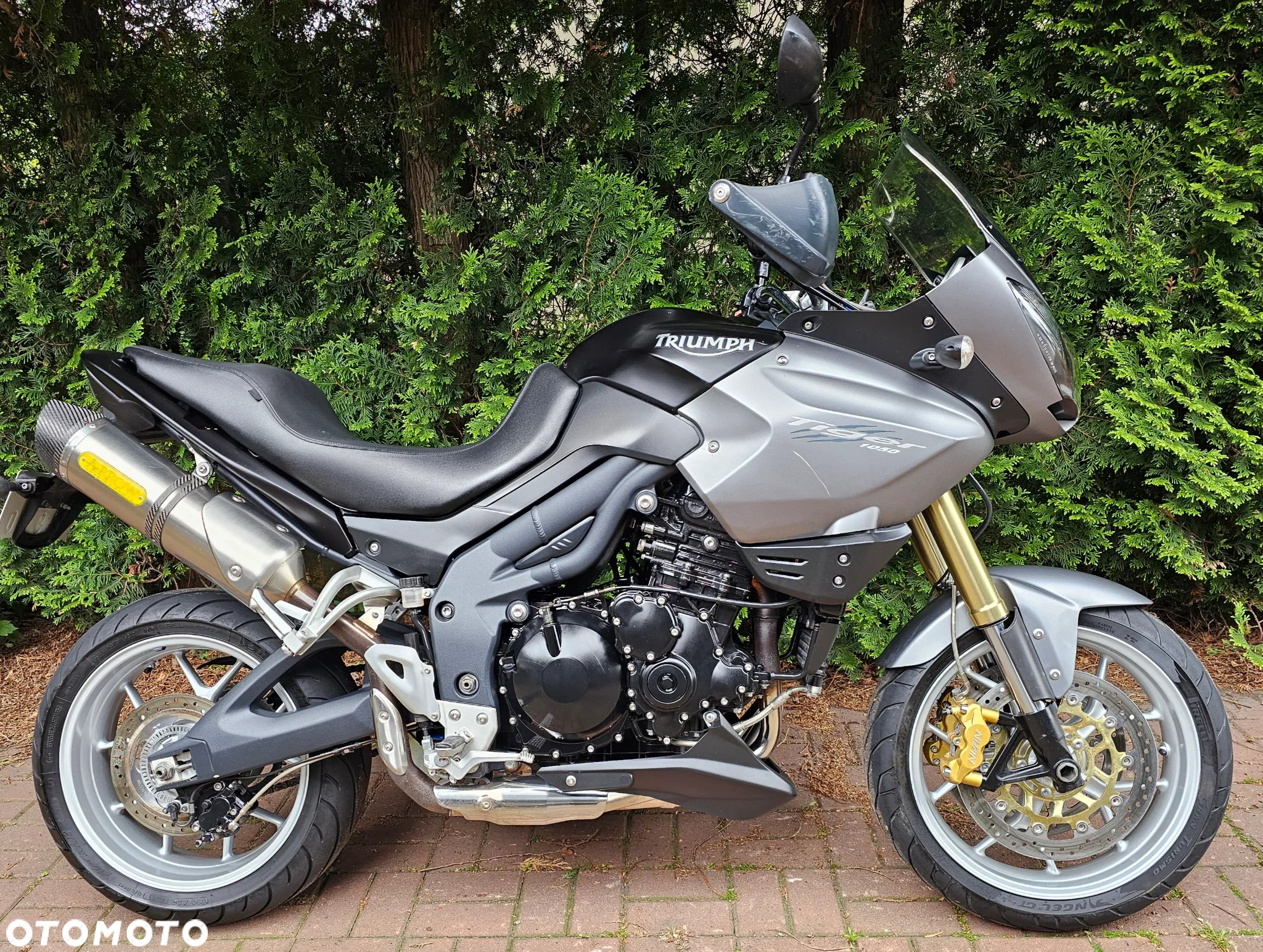 Triumph Tiger - 2