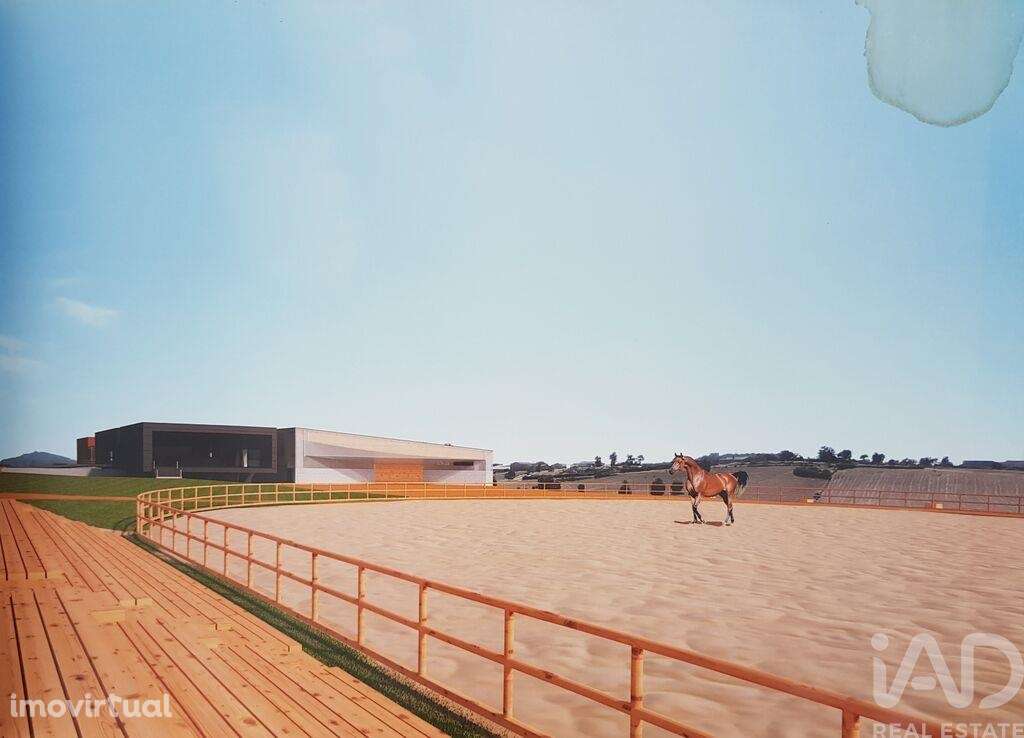 Espaço de lazer em Vila de Ala de 221625,00 m2 - Grande imagem: 3/19