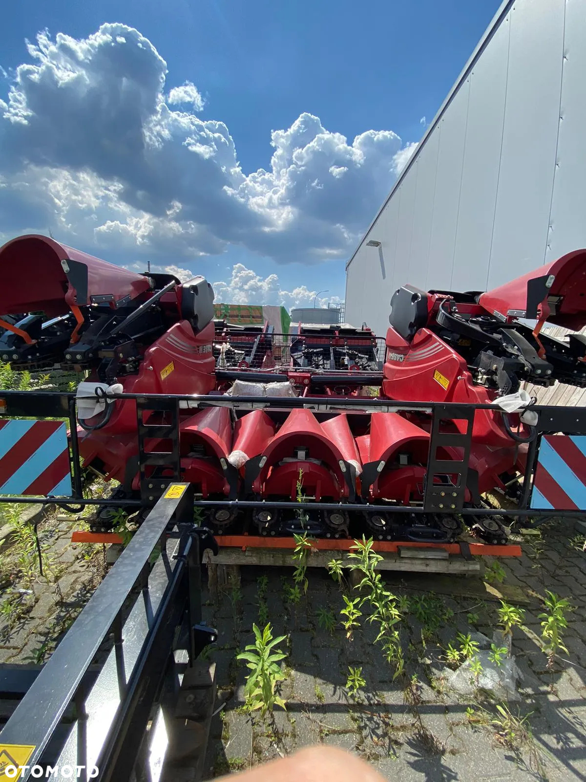 Case IH Przyrząd do kukurydzy 4406 F 75  6m - 3
