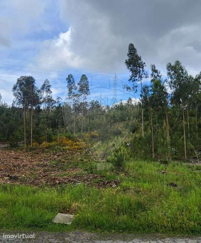 Terreno  para venda - Grande imagem: 2/24