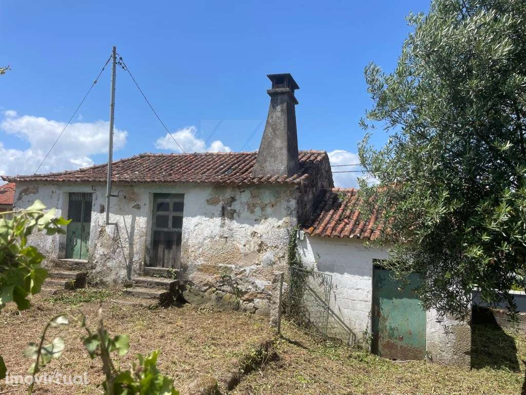 Moradia em pedra com pré-projeto para restauro em Ponte de Lima - Grande imagem: 3/21