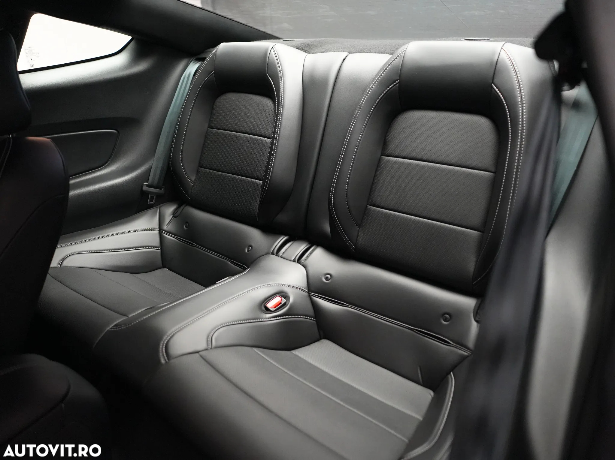 Ford Mustang 5.0 V8 Aut. Mach 1 - 9
