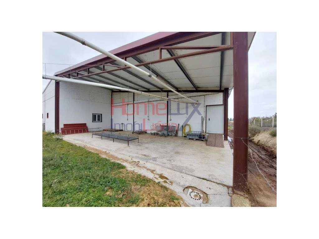 Negócio de Cunicultura para venda em Sabugal, Guarda - Grande imagem: 2/30