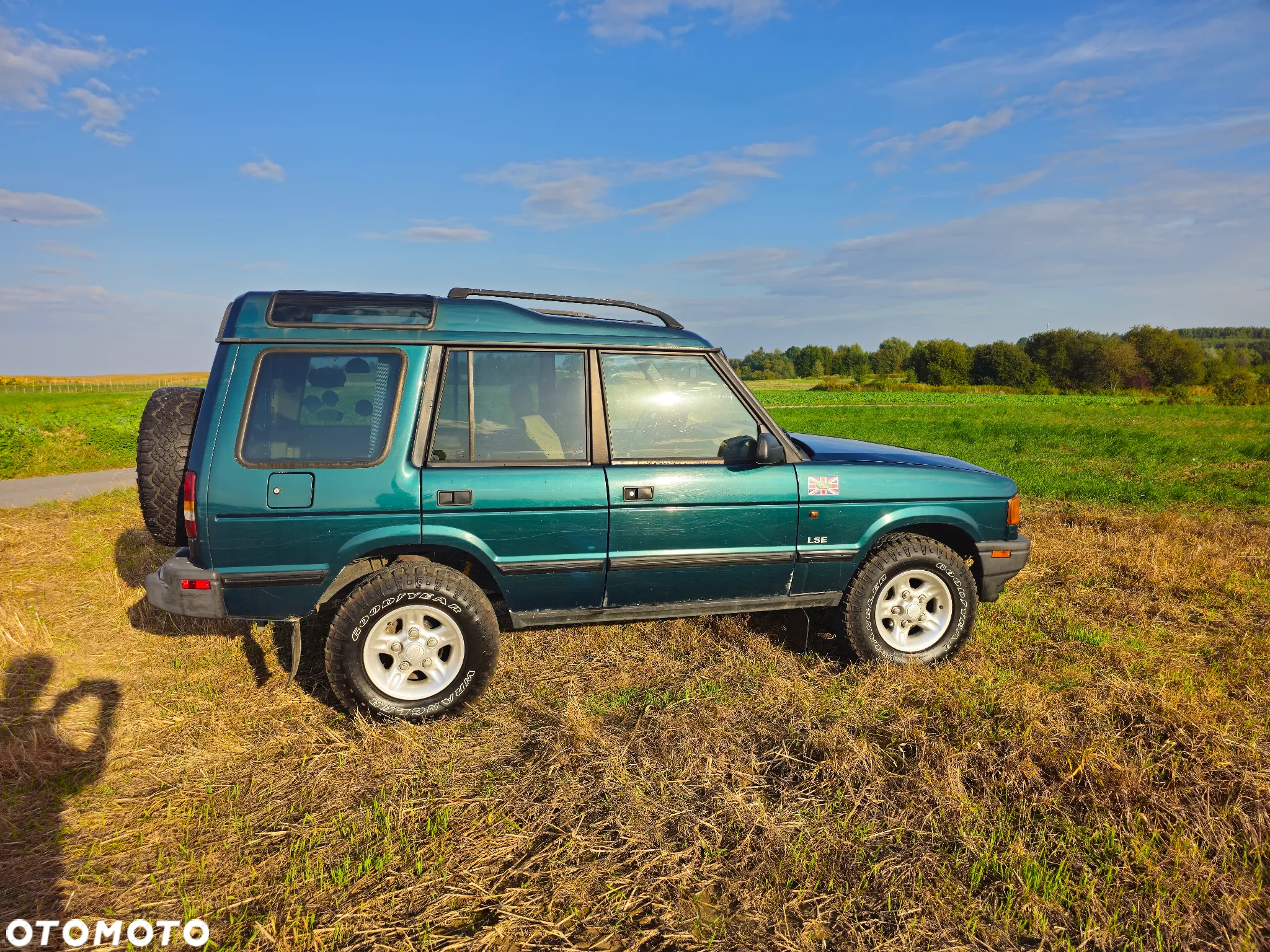 Land Rover Discovery II 4.0 V8 ES - 9