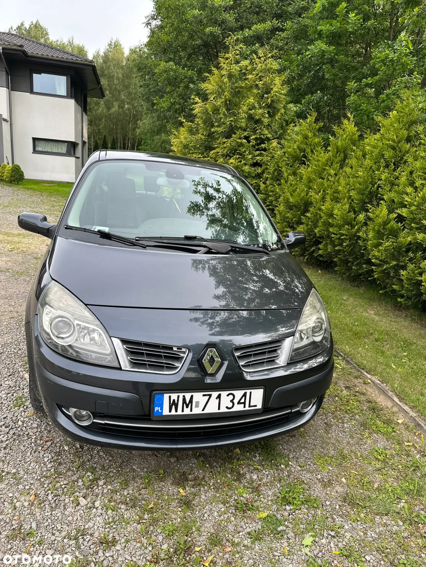 Renault Scenic - 10
