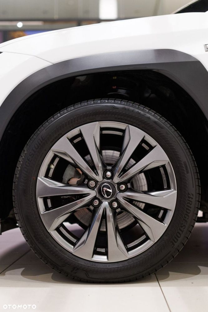 Lexus UX 250h GPF F Sport Design 2WD - 12