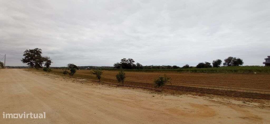 Venda Quinta/Herdade - Grande imagem: 3/6